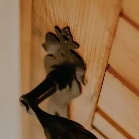 Dom wakacyjny Almhaus Kochjosel Garanas