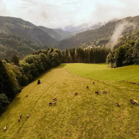 Almhaus Kochjosel Dom wakacyjny *