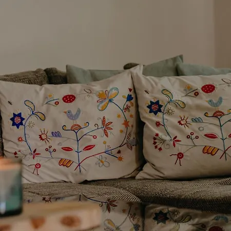 Almhaus Kochjosel Tatil Evi