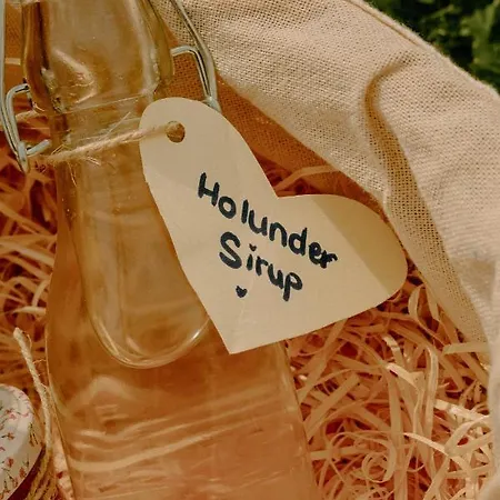 Dom wakacyjny Almhaus Kochjosel Garanas