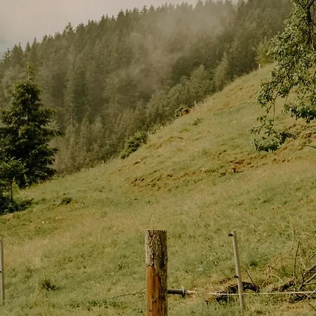 Almhaus Kochjosel Tatil Evi