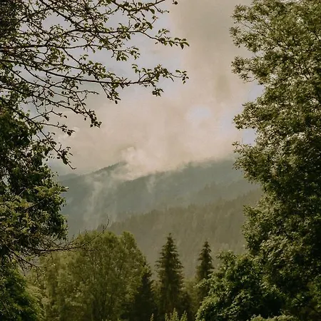 Dom wakacyjny Almhaus Kochjosel