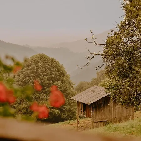 Almhaus Kochjosel Tatil Evi Garanas