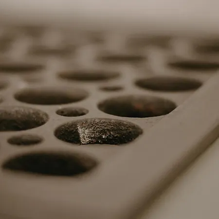 Almhaus Kochjosel Tatil Evi *