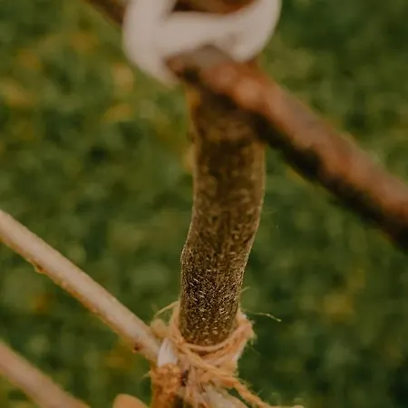 Almhaus Kochjosel Tatil Evi *