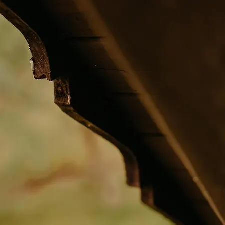 Casa de Férias Almhaus Kochjosel *