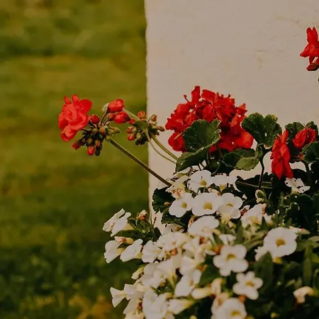 Dom wakacyjny Almhaus Kochjosel