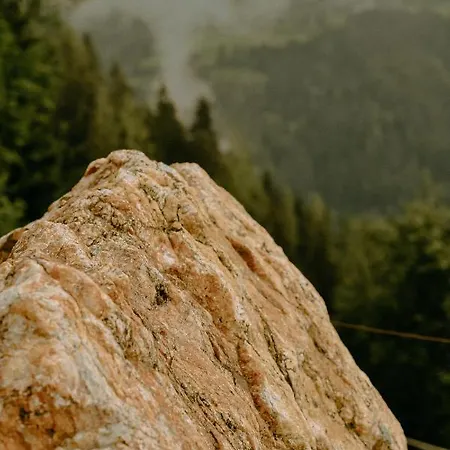Almhaus Kochjosel Dom wakacyjny *