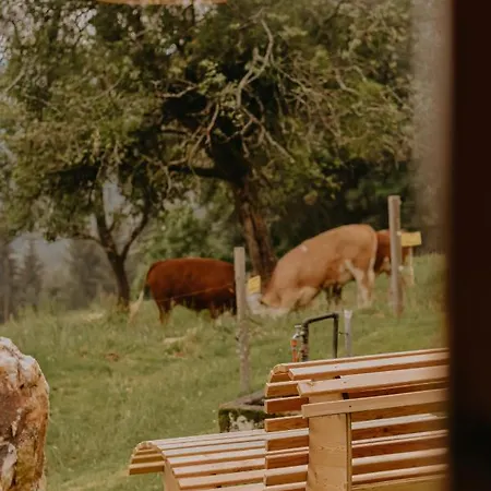 Almhaus Kochjosel * Garanas