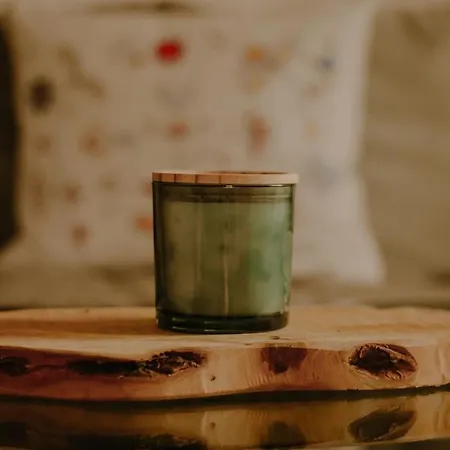 Tatil Evi Almhaus Kochjosel Garanas