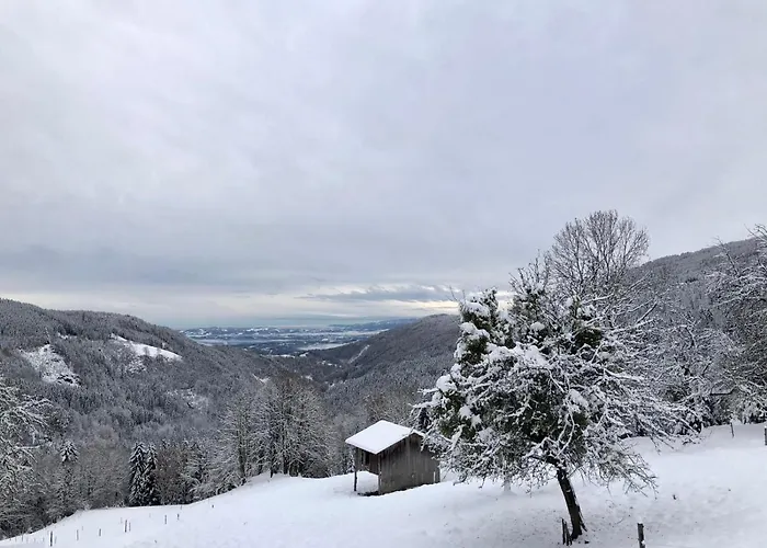 Ferienhaus Almhaus Kochjosel *