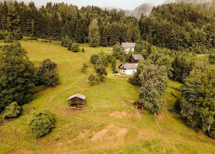 Ferienhaus Almhaus Kochjosel *