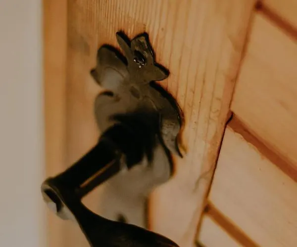 Ferienhaus Almhaus Kochjosel Garanas