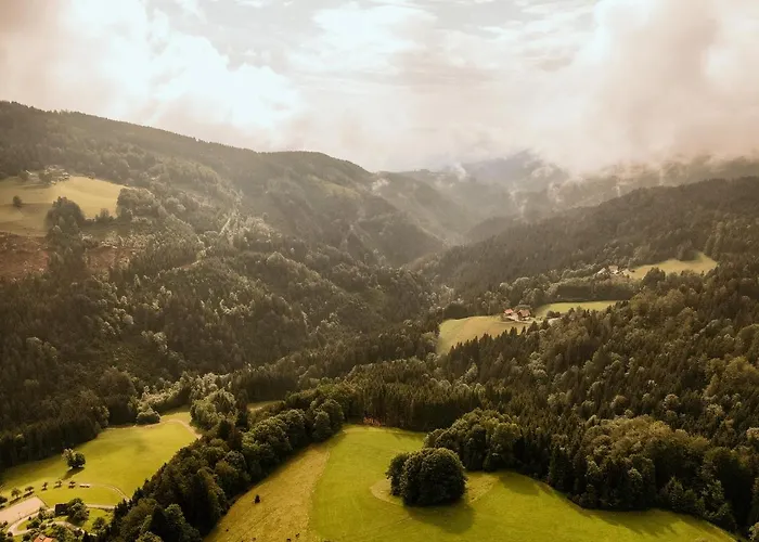 Ferienhaus Almhaus Kochjosel Garanas
