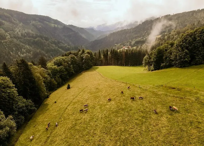 Almhaus Kochjosel Ferienhaus *