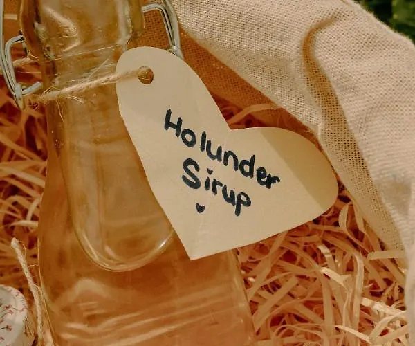 Ferienhaus Almhaus Kochjosel Garanas