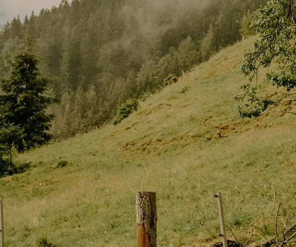 Almhaus Kochjosel Ferienhaus