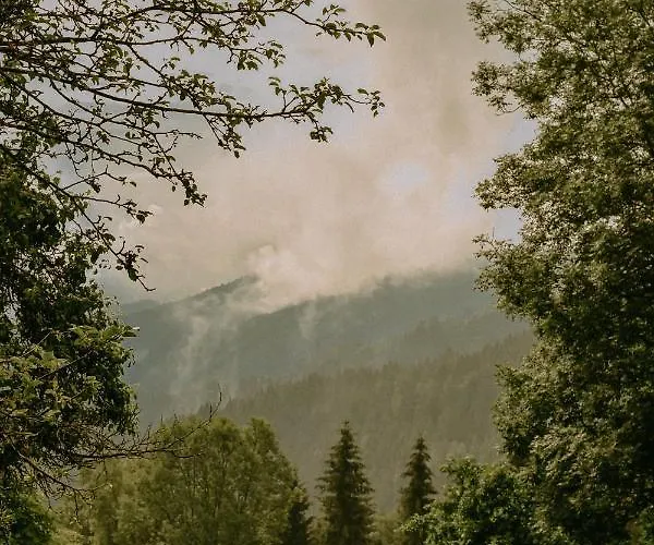 Ferienhaus Almhaus Kochjosel