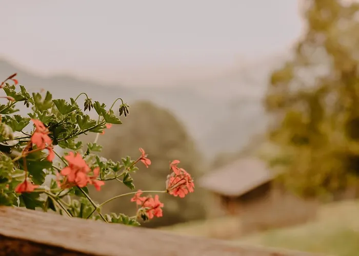 Almhaus Kochjosel Garanas