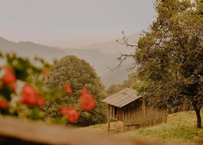 Almhaus Kochjosel Ferienhaus Garanas