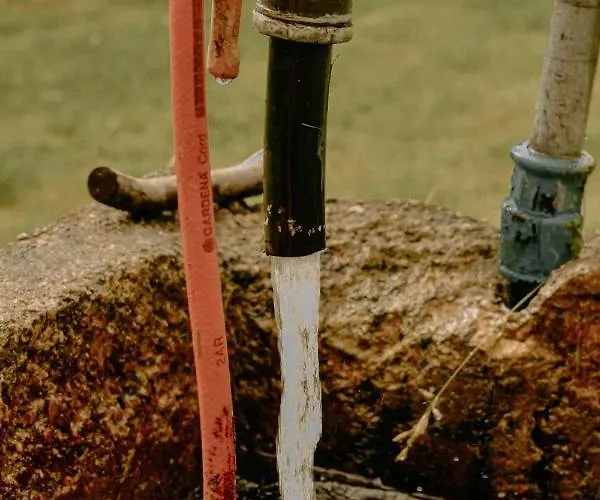 Ferienhaus Almhaus Kochjosel