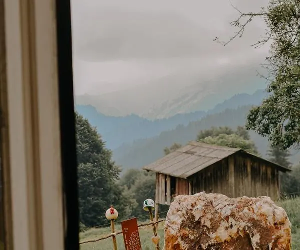 Ferienhaus Almhaus Kochjosel *