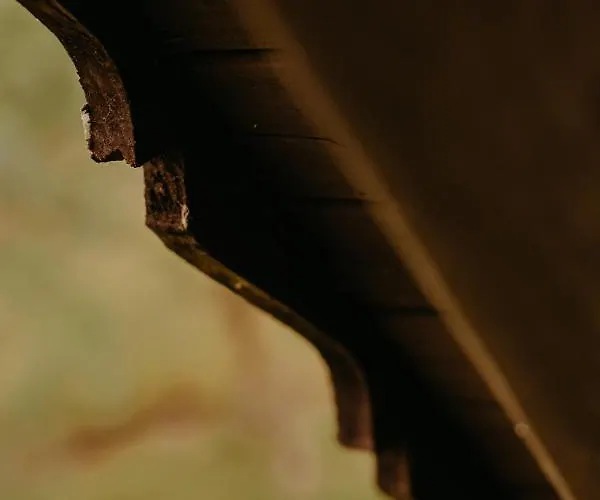 Ferienhaus Almhaus Kochjosel *