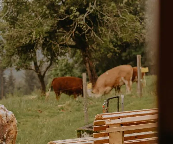 Almhaus Kochjosel * Garanas