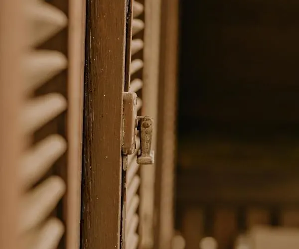 Almhaus Kochjosel Ferienhaus